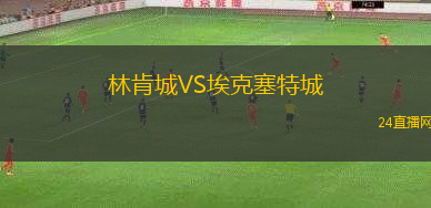 林肯城VS?？巳爻? title=