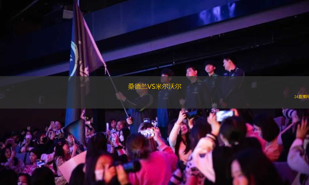 桑德蘭VS米爾沃爾