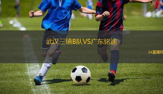 武漢三鎮(zhèn)B隊(duì)VS廣東銘途