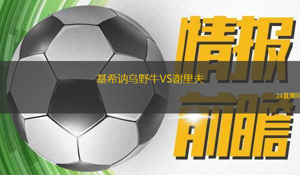 基希訥烏野牛VS謝里夫