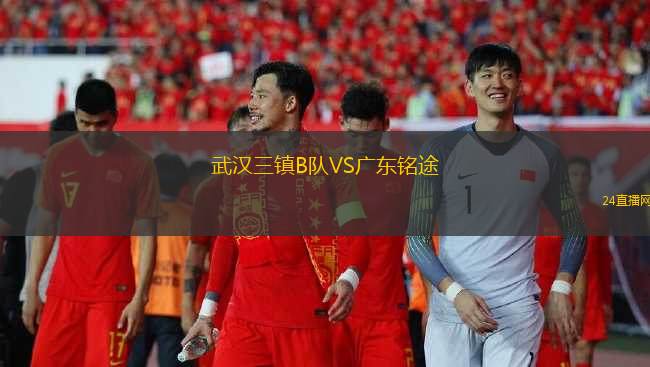 武漢三鎮(zhèn)B隊(duì)VS廣東銘途