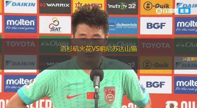 洛杉磯火花VS明尼蘇達(dá)山貓