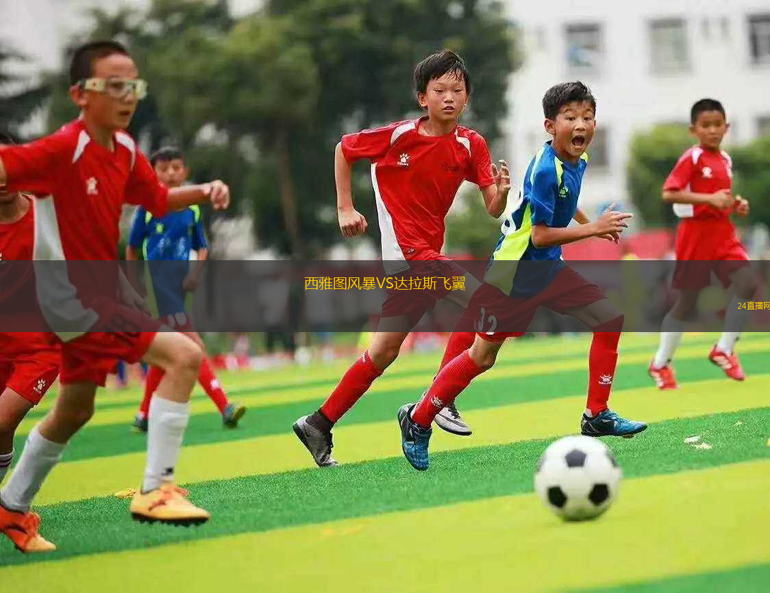 西雅圖風暴VS達拉斯飛翼