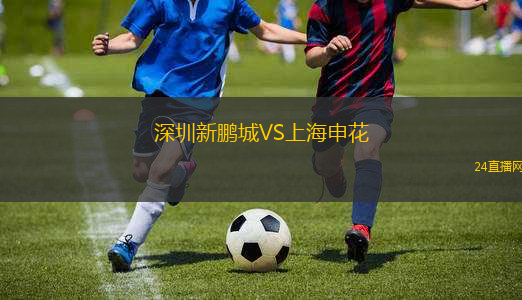深圳新鵬城VS上海申花