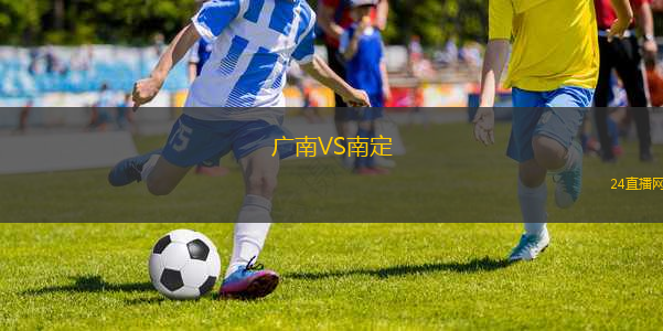 廣南VS南定