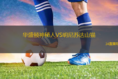 華盛頓神秘人VS明尼蘇達山貓