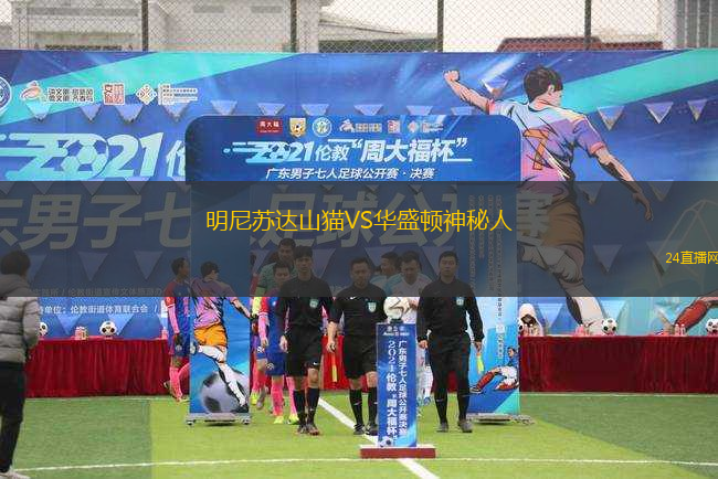 明尼蘇達山貓VS華盛頓神秘人