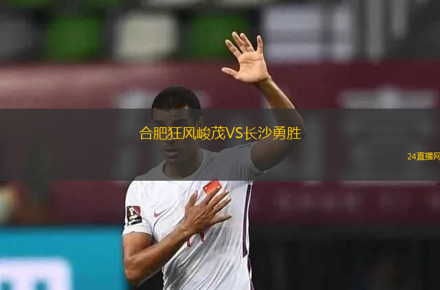 合肥狂風峻茂VS長沙勇勝