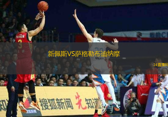新佩斯VS薩格勒布迪納摩