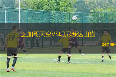 芝加哥天空VS明尼蘇達山貓