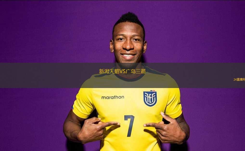 新潟天鵝VS廣島三箭