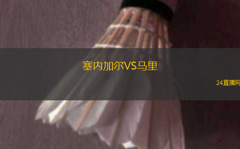 塞內(nèi)加爾VS馬里
