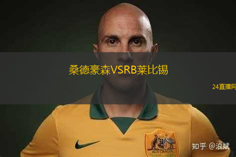 桑德豪森VSRB萊比錫