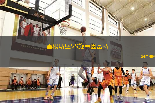 雷根斯堡VS施韋因富特
