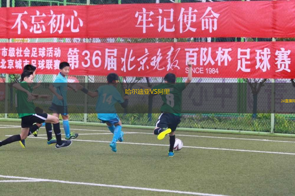 哈爾迪亞VS阿里 哈爾迪亞VS阿里