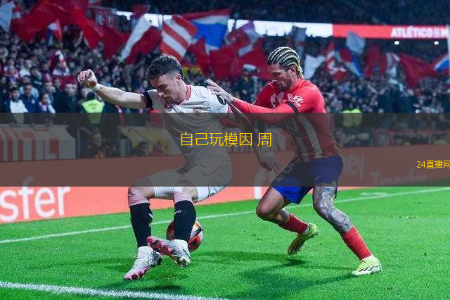 自己玩模因 周