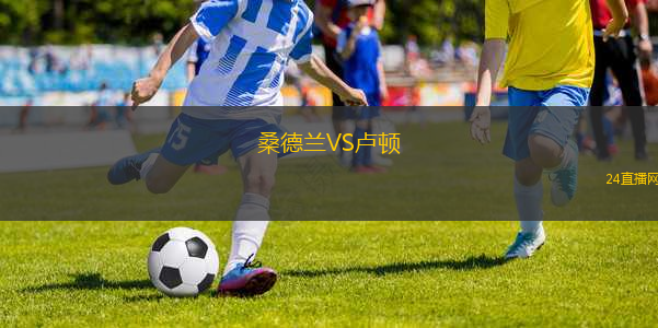桑德蘭VS盧頓