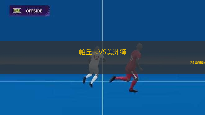 帕丘卡VS美洲獅
