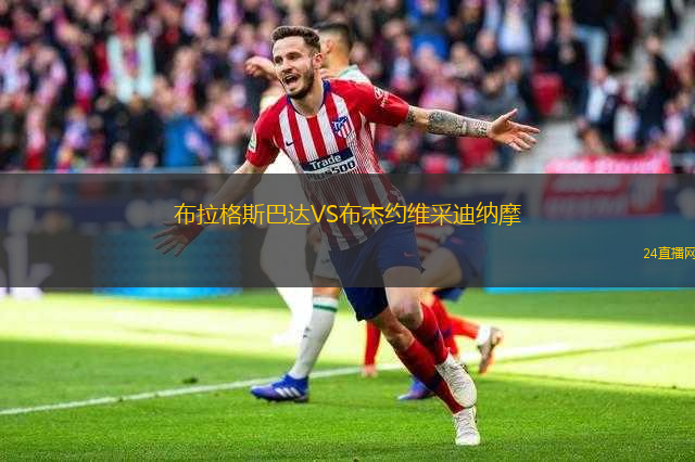 布拉格斯巴達(dá)VS布杰約維采迪納摩