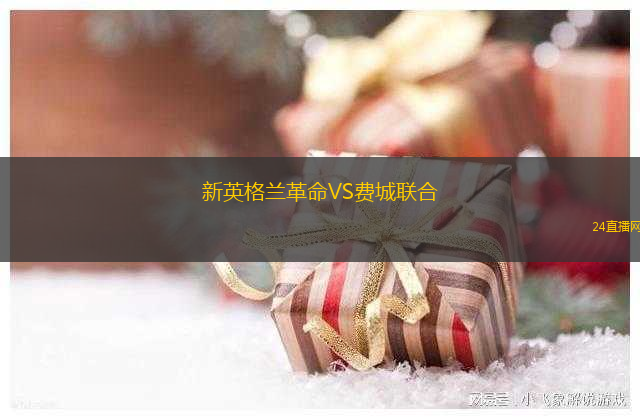 新英格蘭革命VS費(fèi)城聯(lián)合