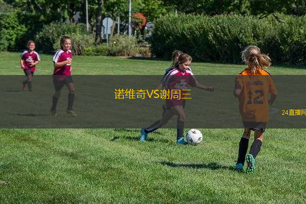 諾維奇VS謝周三