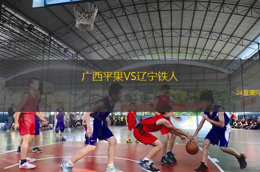廣西平果VS遼寧鐵人